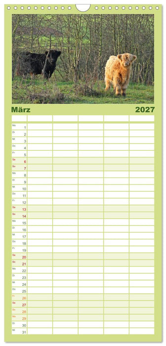 Das Schottische Hochlandrind (CALVENDO Familienplaner 2027)