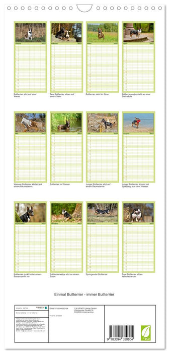 Einmal Bullterrier - immer Bullterrier (CALVENDO Familienplaner 2027)
