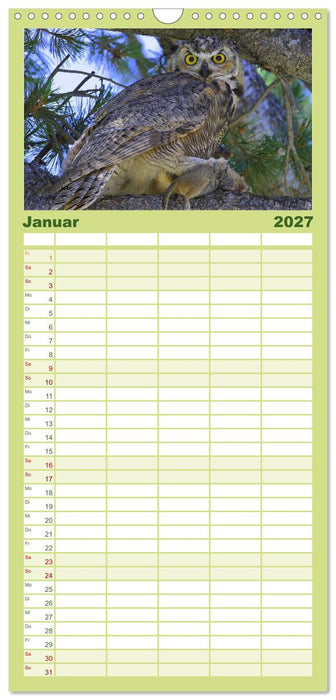 Eulen. Mystische Schönheiten (CALVENDO Familienplaner 2027)