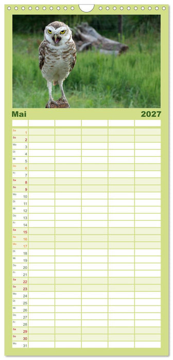 Eulen. Mystische Schönheiten (CALVENDO Familienplaner 2027)