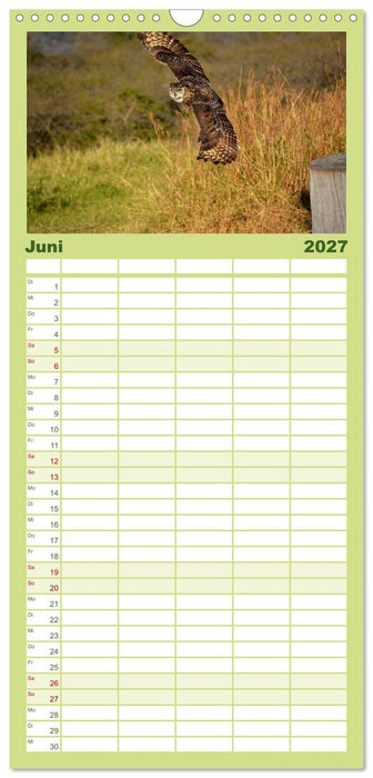 Eulen. Mystische Schönheiten (CALVENDO Familienplaner 2027)