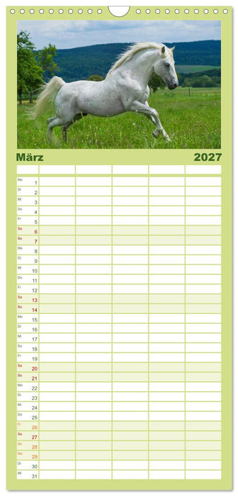 Welt der Pferde (CALVENDO Familienplaner 2027)
