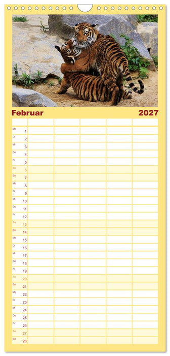 Tiger (CALVENDO Familienplaner 2027)