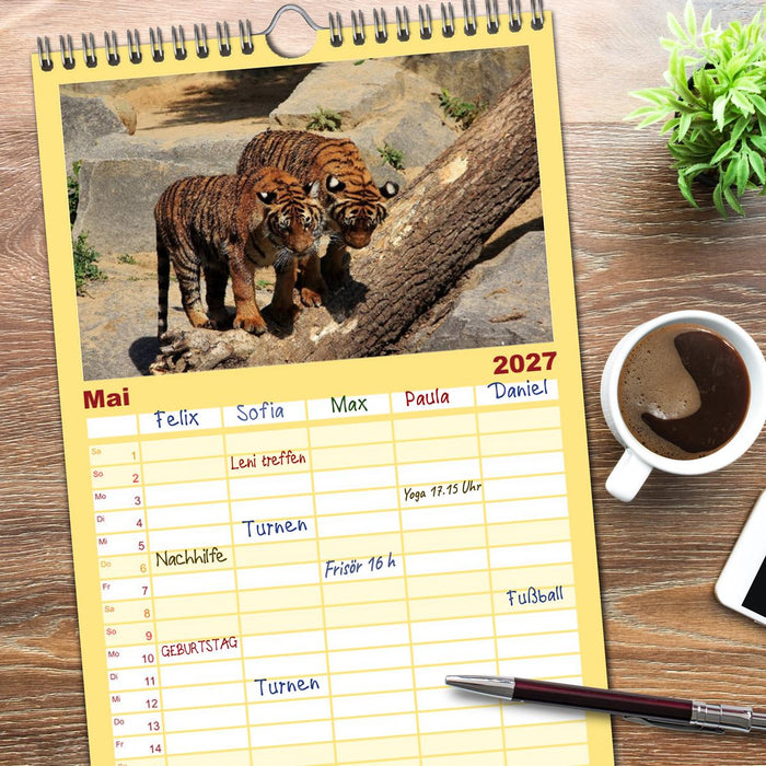 Tiger (CALVENDO Familienplaner 2027)