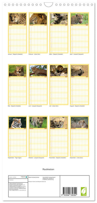 Raubkatzen (CALVENDO Familienplaner 2027)