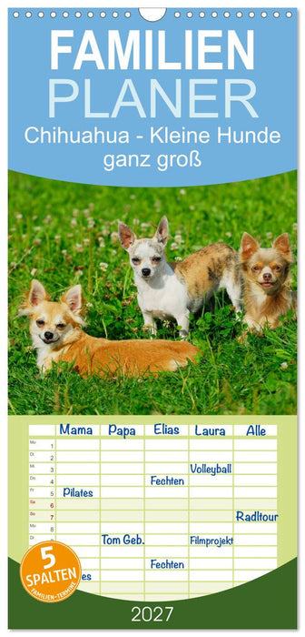 Chihuahua - Kleine Hunde ganz groß (CALVENDO Familienplaner 2027)