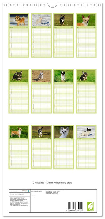Chihuahua - Kleine Hunde ganz groß (CALVENDO Familienplaner 2027)