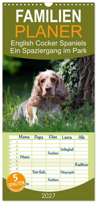 English Cocker Spaniels - Ein Spaziergang im Park (CALVENDO Familienplaner 2027)