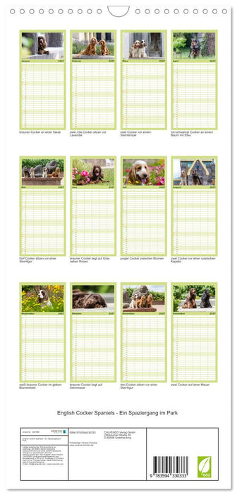 English Cocker Spaniels - Ein Spaziergang im Park (CALVENDO Familienplaner 2027)