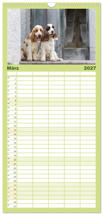 English Cocker Spaniels - Ein Spaziergang im Park (CALVENDO Familienplaner 2027)