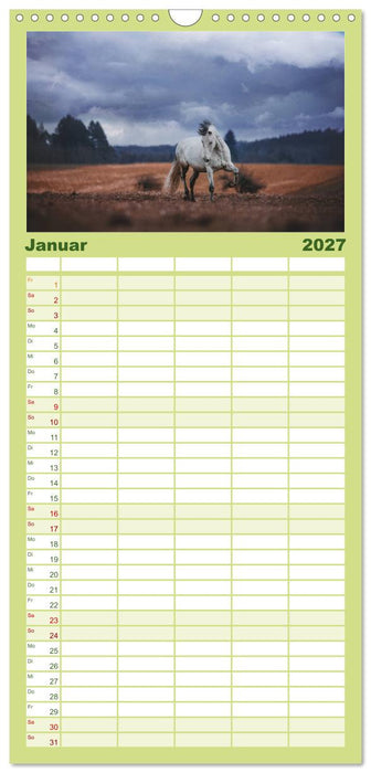 Die Faszinierende Welt der Pferde (CALVENDO Familienplaner 2027)