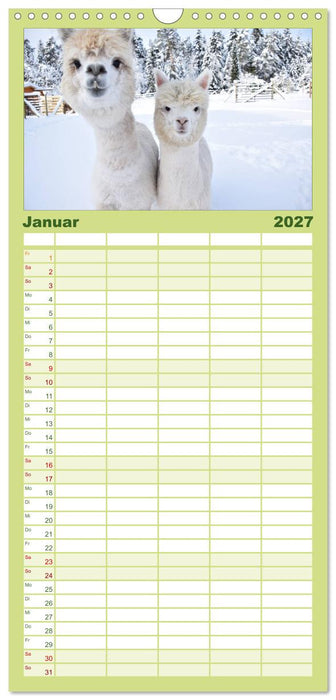 Alpakas zum Verlieben (CALVENDO Familienplaner 2027)