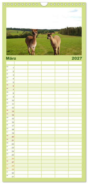 Alpakas zum Verlieben (CALVENDO Familienplaner 2027)