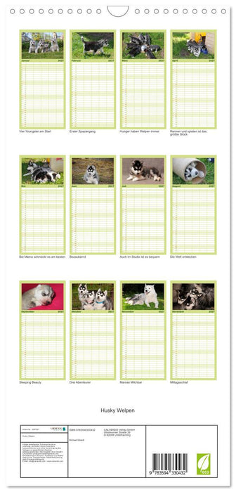Husky Welpen (CALVENDO Familienplaner 2027)