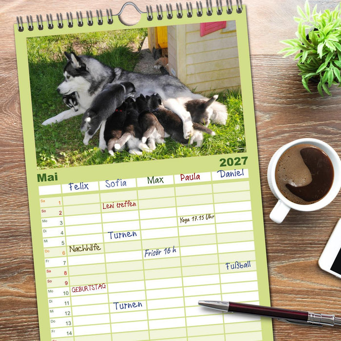 Husky Welpen (CALVENDO Familienplaner 2027)