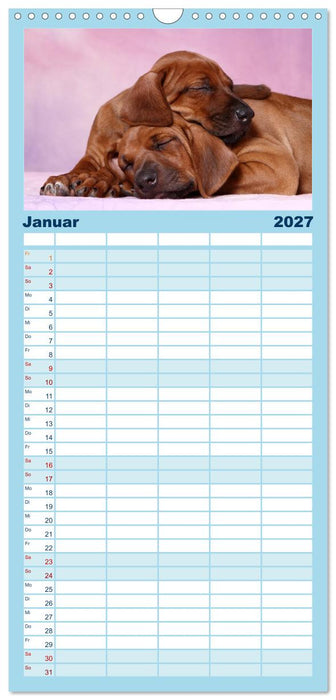 Süße Träume 2027 - schlafende Hundewelpen (CALVENDO Familienplaner 2027)