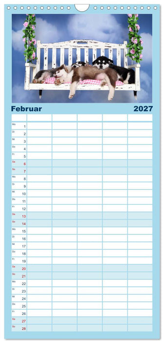 Süße Träume 2027 - schlafende Hundewelpen (CALVENDO Familienplaner 2027)
