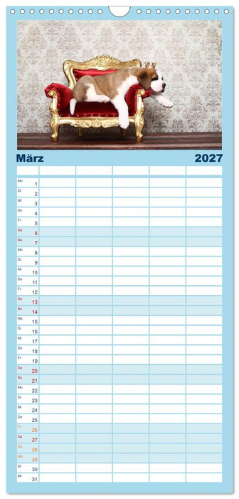 Süße Träume 2027 - schlafende Hundewelpen (CALVENDO Familienplaner 2027)