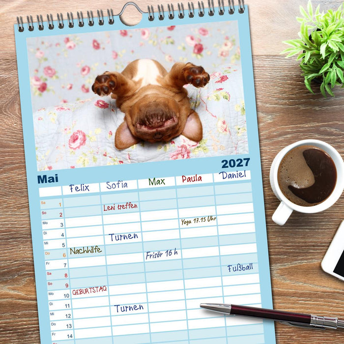 Süße Träume 2027 - schlafende Hundewelpen (CALVENDO Familienplaner 2027)