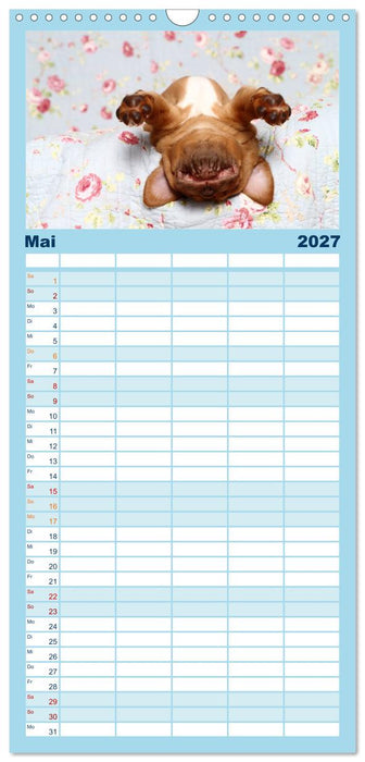 Süße Träume 2027 - schlafende Hundewelpen (CALVENDO Familienplaner 2027)