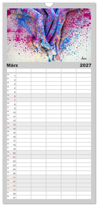FARBSPIELE - Akt im Feuerwerk der Farben (CALVENDO Familienplaner 2027)