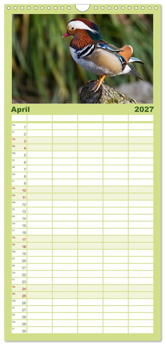 Tierkalender 2027 (CALVENDO Familienplaner 2027)