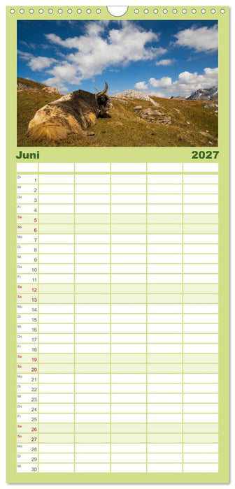Tierkalender 2027 (CALVENDO Familienplaner 2027)