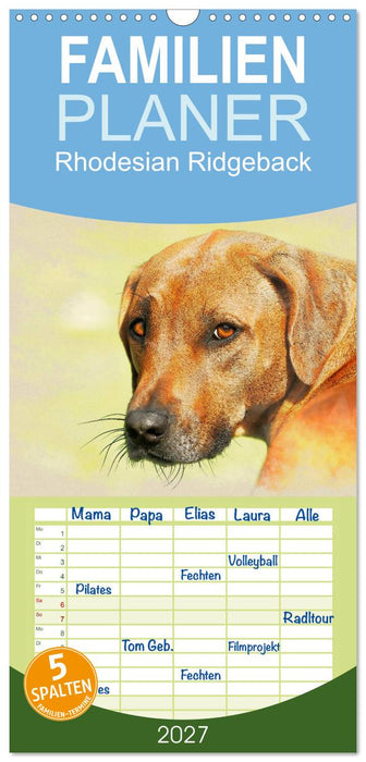 Rhodesian Ridgeback 2027 (CALVENDO Familienplaner 2027)