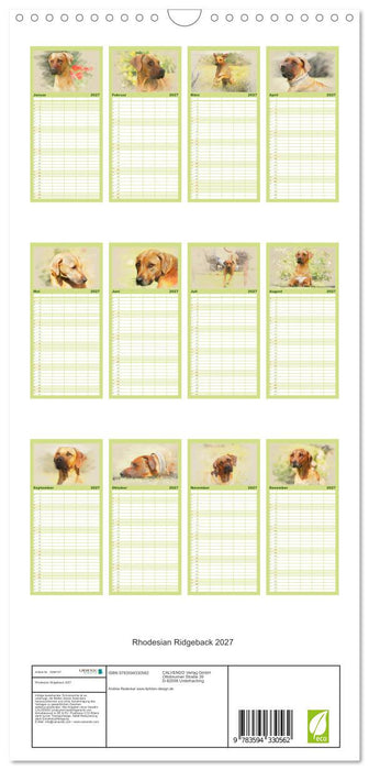Rhodesian Ridgeback 2027 (CALVENDO Familienplaner 2027)
