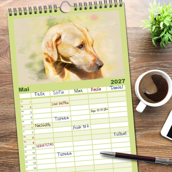 Rhodesian Ridgeback 2027 (CALVENDO Familienplaner 2027)
