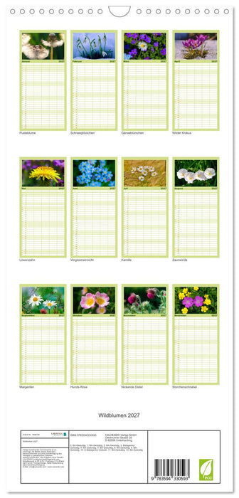 Wildblumen 2027 (CALVENDO Familienplaner 2027)