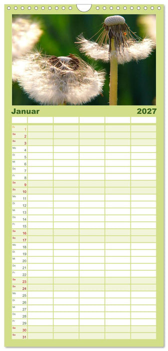 Wildblumen 2027 (CALVENDO Familienplaner 2027)