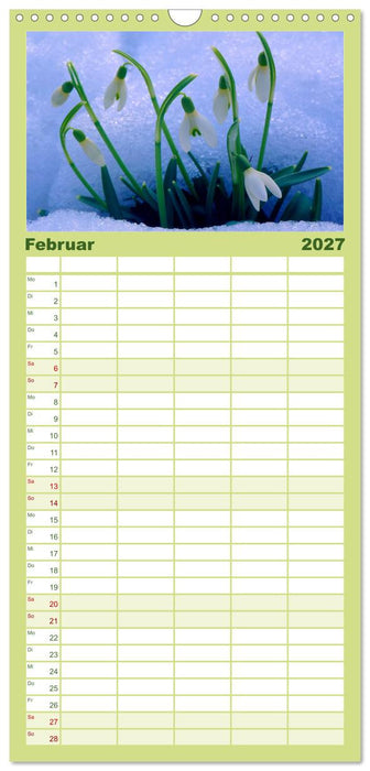 Wildblumen 2027 (CALVENDO Familienplaner 2027)