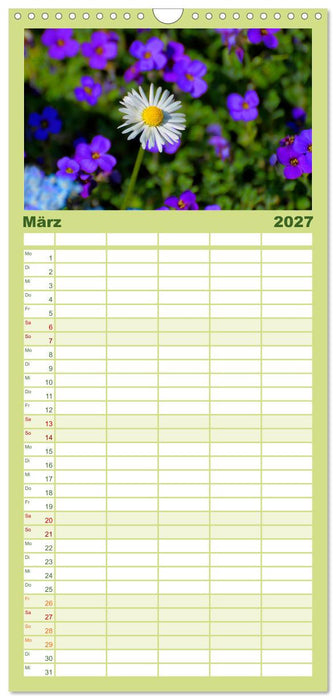 Wildblumen 2027 (CALVENDO Familienplaner 2027)