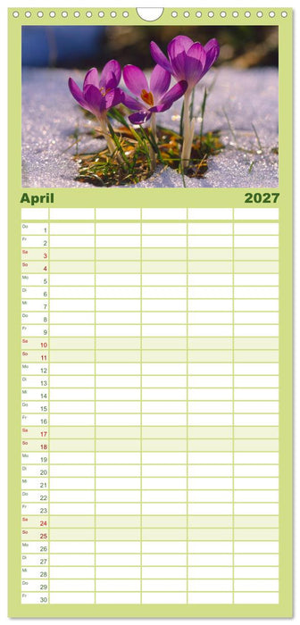 Wildblumen 2027 (CALVENDO Familienplaner 2027)