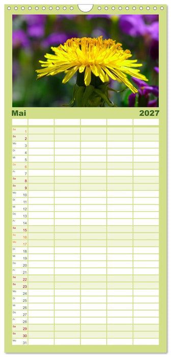 Wildblumen 2027 (CALVENDO Familienplaner 2027)