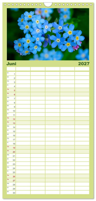 Wildblumen 2027 (CALVENDO Familienplaner 2027)