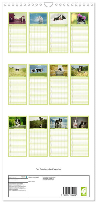 Der Bordercollie-Kalender (CALVENDO Familienplaner 2027)