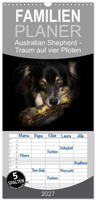 Australian Shepherd - Traum auf vier Pfoten (CALVENDO Familienplaner 2027)