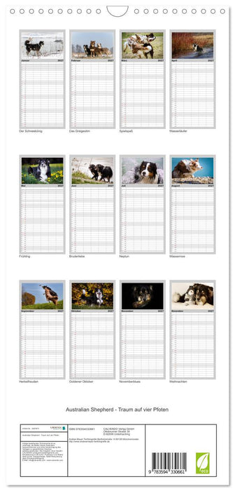 Australian Shepherd - Traum auf vier Pfoten (CALVENDO Familienplaner 2027)