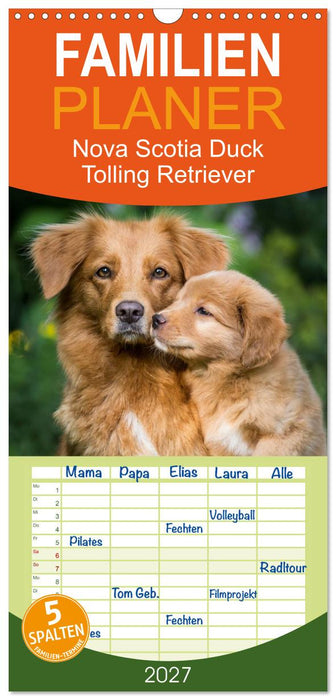Toller - Nova Scotia Duck Tolling Retriever (CALVENDO Familienplaner 2027)