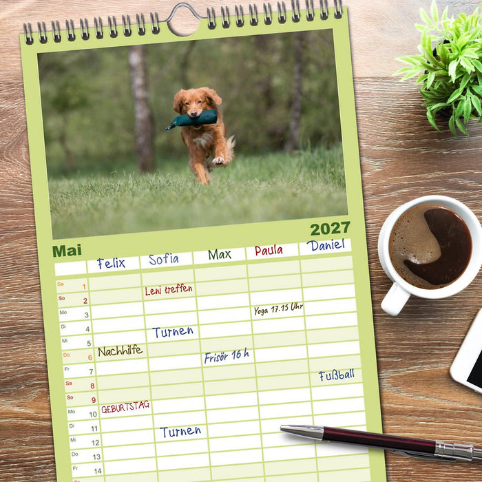 Toller - Nova Scotia Duck Tolling Retriever (CALVENDO Familienplaner 2027)