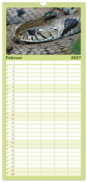 Einheimische Schlangen ganz nah (CALVENDO Familienplaner 2027)