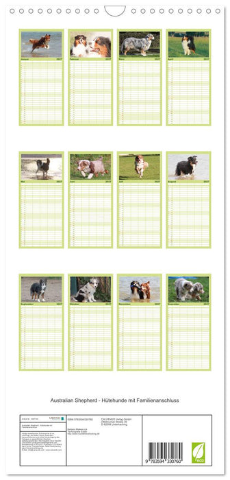 Australian Shepherd - Hütehunde mit Familienanschluss (CALVENDO Familienplaner 2027)