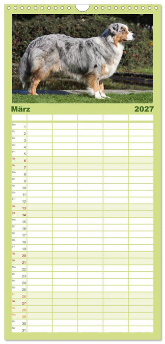 Australian Shepherd - Hütehunde mit Familienanschluss (CALVENDO Familienplaner 2027)