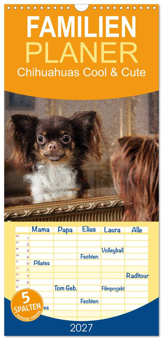 Chihuahuas - Cool and Cute (CALVENDO Familienplaner 2027)