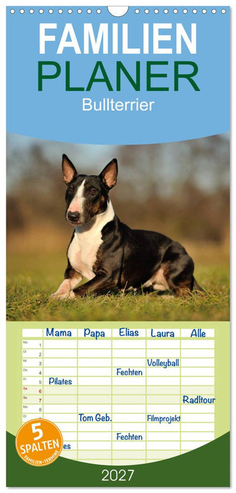 Bullterrier 2027 - Kleine Clowns mit großem Herz (CALVENDO Familienplaner 2027)