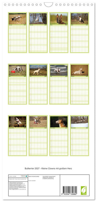 Bullterrier 2027 - Kleine Clowns mit großem Herz (CALVENDO Familienplaner 2027)