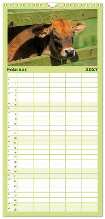 Rinder auf dem Lande (CALVENDO Familienplaner 2027)