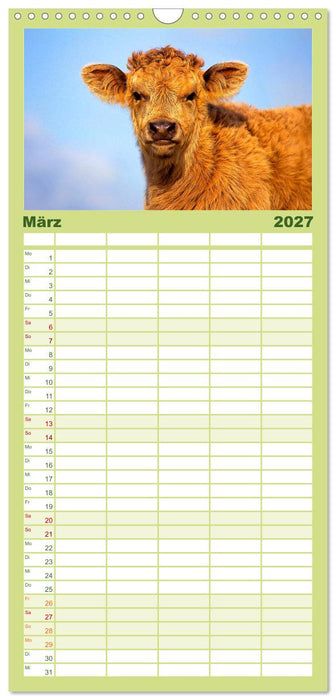 Rinder auf dem Lande (CALVENDO Familienplaner 2027)